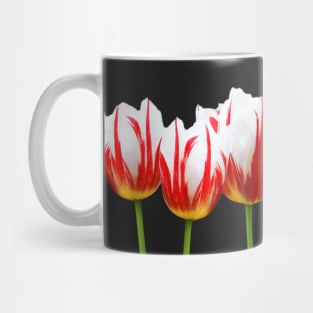 Maple Leaf Tulips on Black Mug